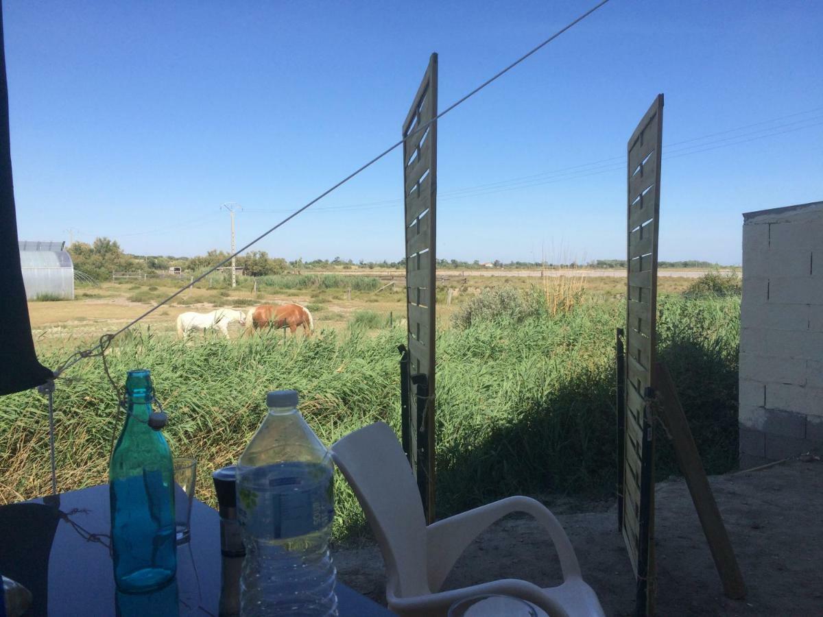 Апартаменти En Camargue Салін-де-Жирод Екстер'єр фото