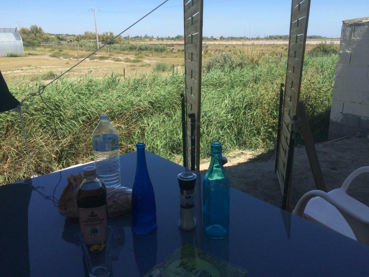 Апартаменти En Camargue Салін-де-Жирод Екстер'єр фото