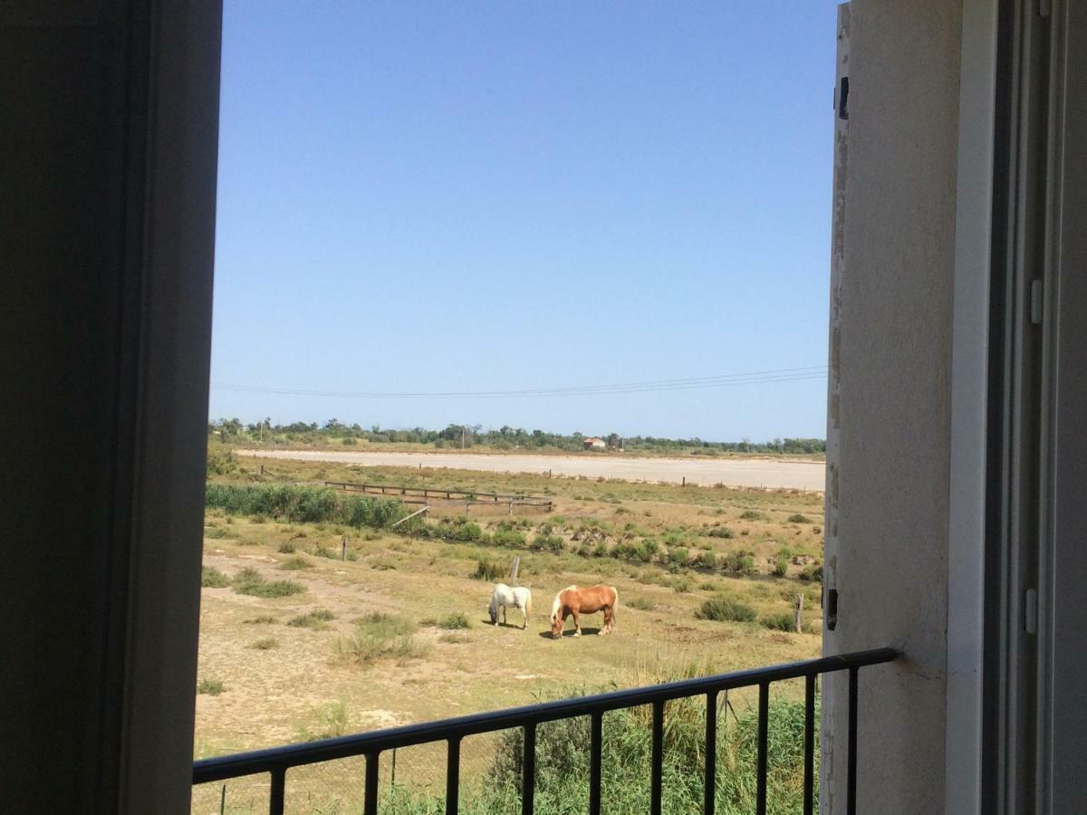 Апартаменти En Camargue Салін-де-Жирод Екстер'єр фото