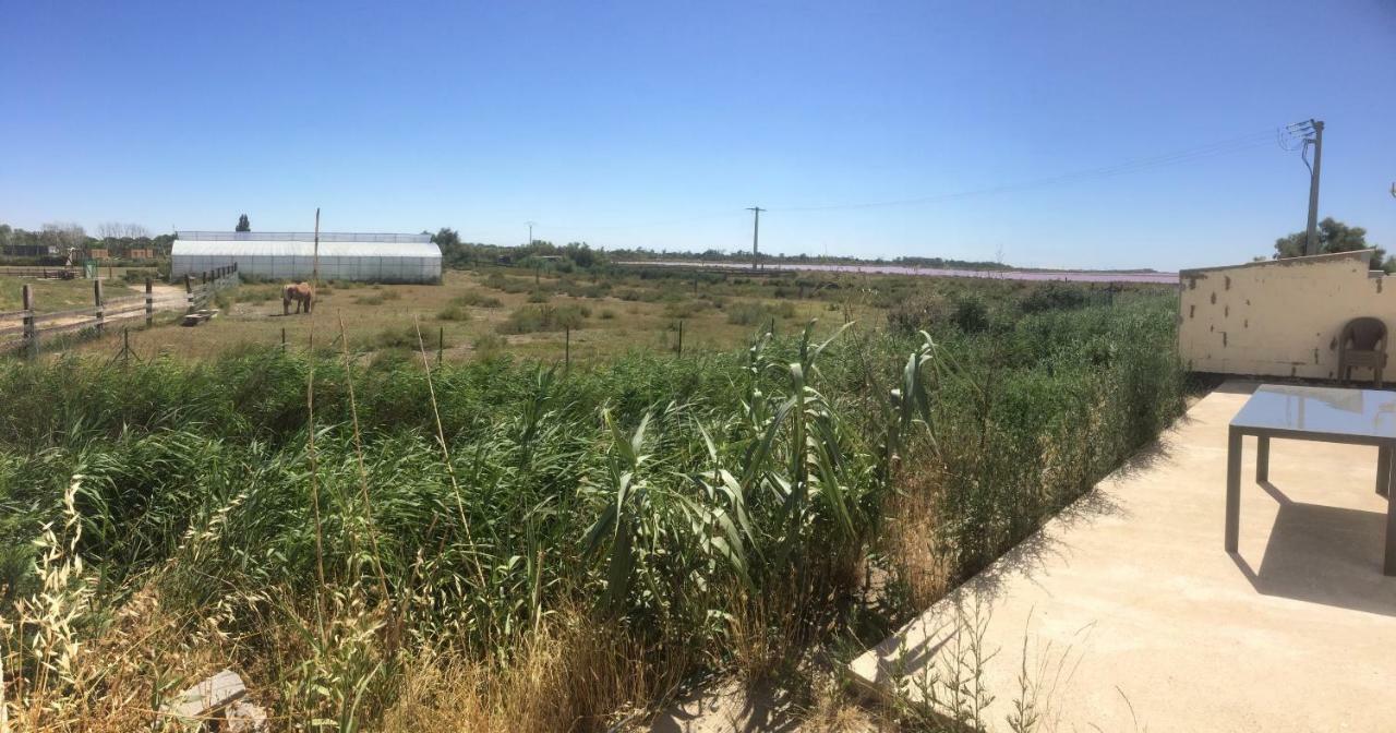 Апартаменти En Camargue Салін-де-Жирод Екстер'єр фото