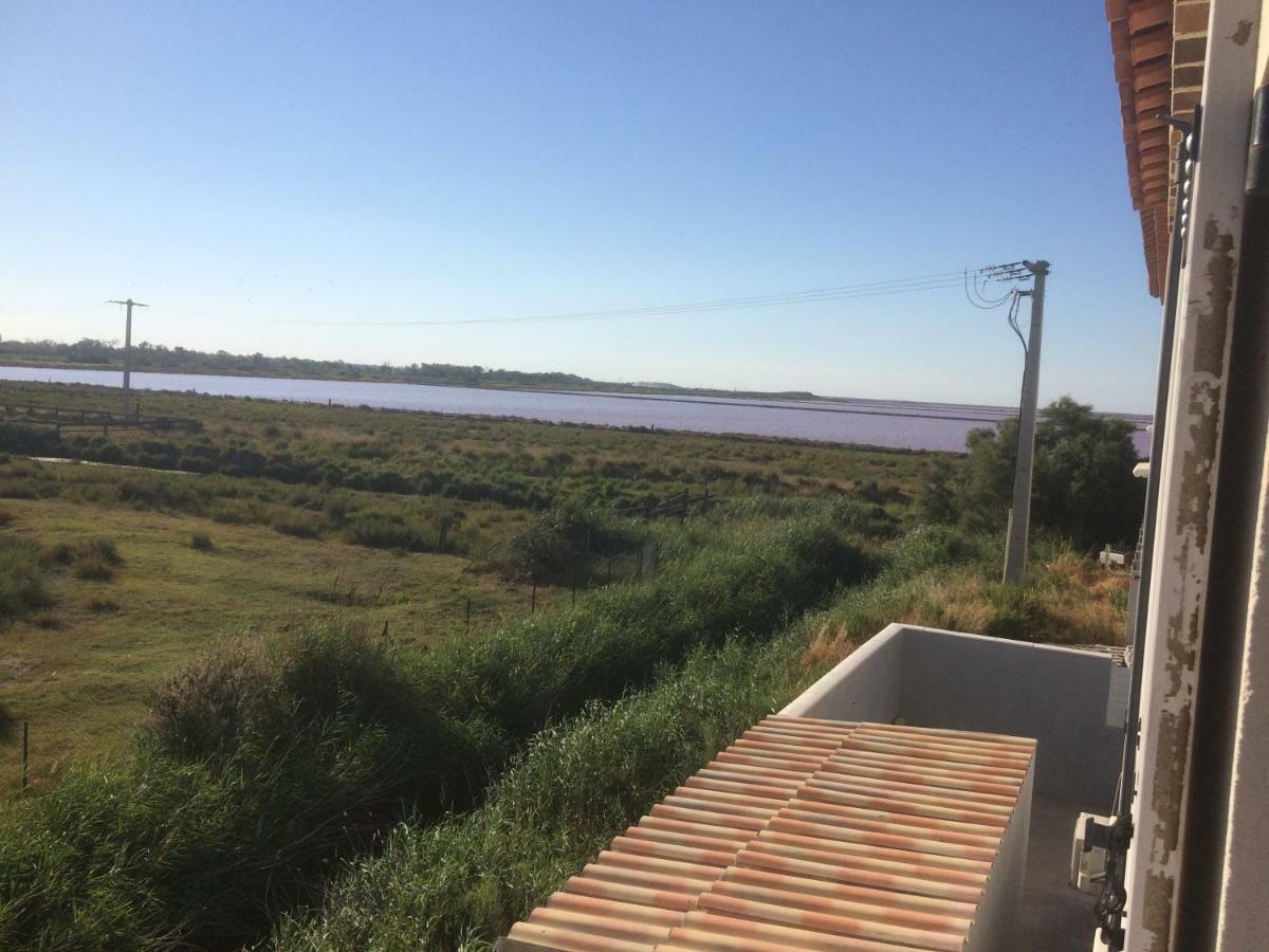 Апартаменти En Camargue Салін-де-Жирод Екстер'єр фото