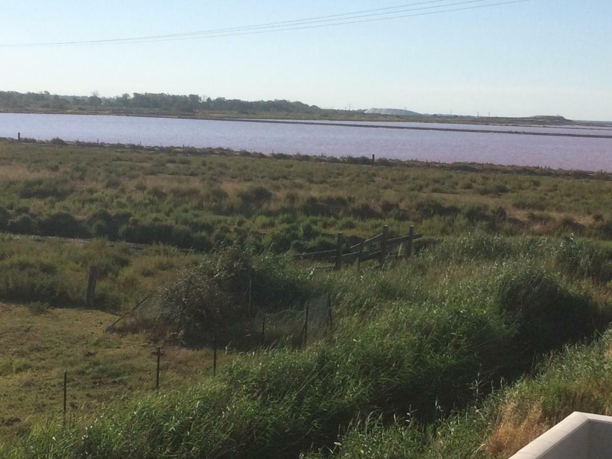 Апартаменти En Camargue Салін-де-Жирод Екстер'єр фото