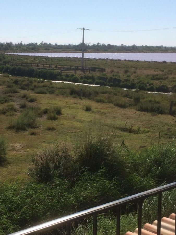 Апартаменти En Camargue Салін-де-Жирод Екстер'єр фото