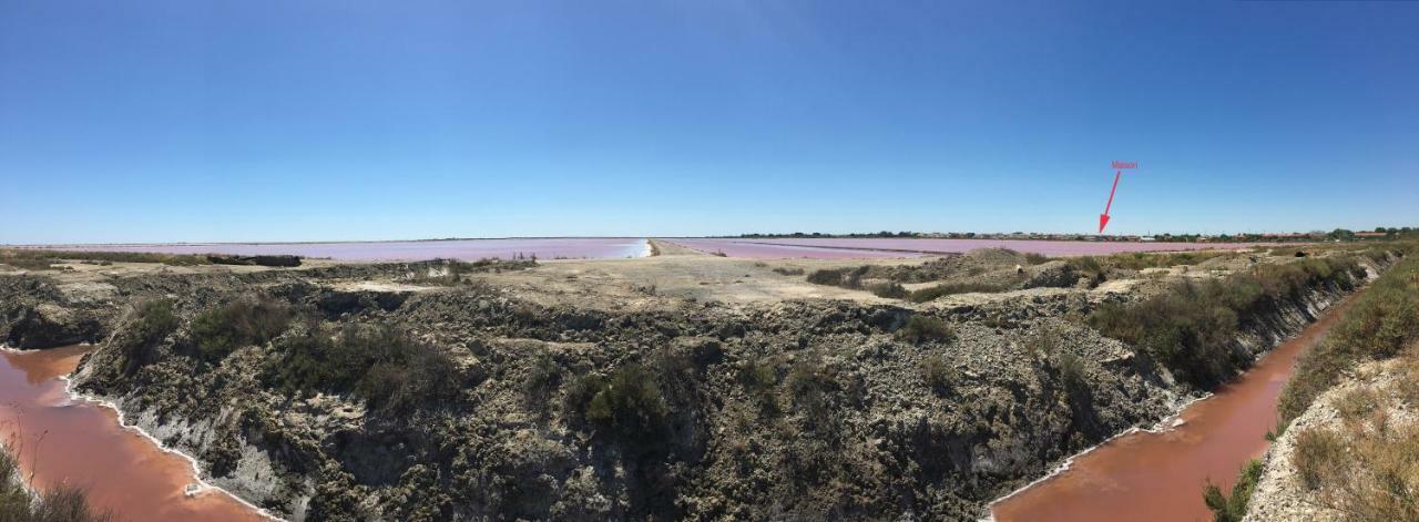 Апартаменти En Camargue Салін-де-Жирод Екстер'єр фото