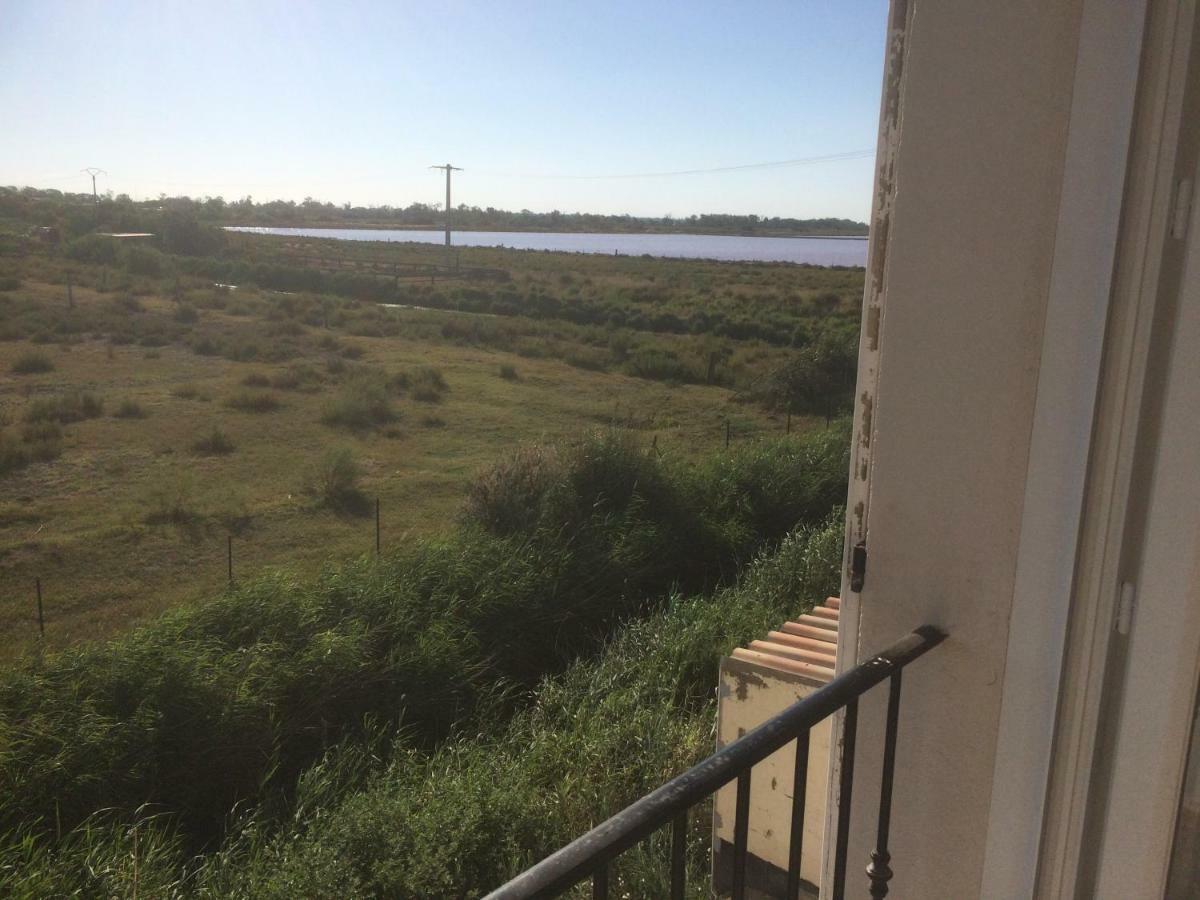 Апартаменти En Camargue Салін-де-Жирод Екстер'єр фото